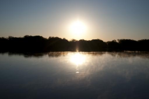 Dawn - Free Stock Photo