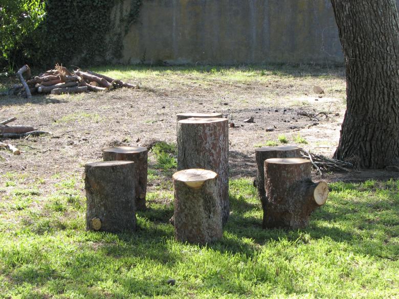 Free stock image of Natural table set created by Barbara Din