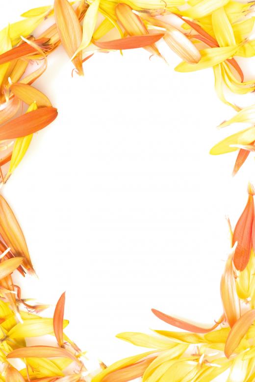Free stock image of Frame from Flower Petals created by 2happy