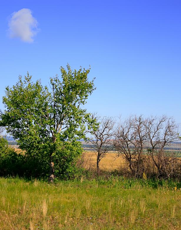 Free stock image of nature scene created by 2happy