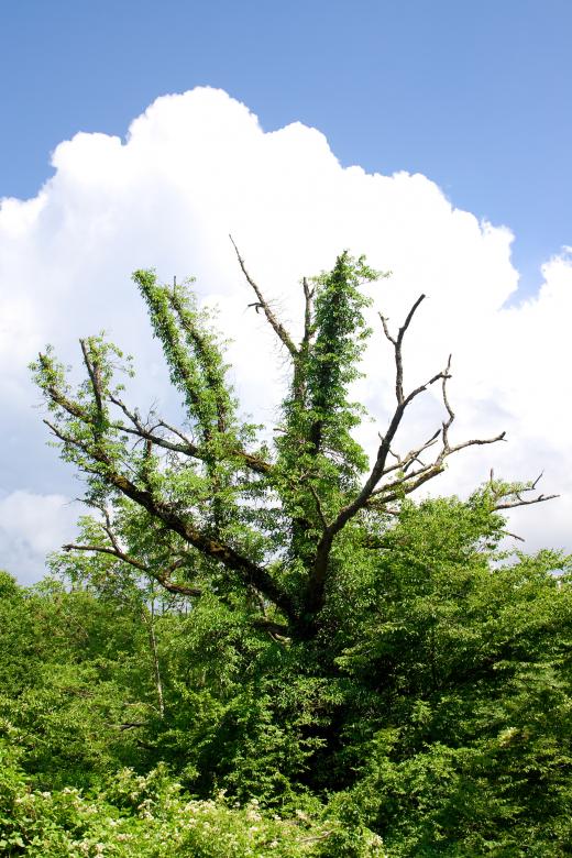 Free stock image of nature scene created by 2happy
