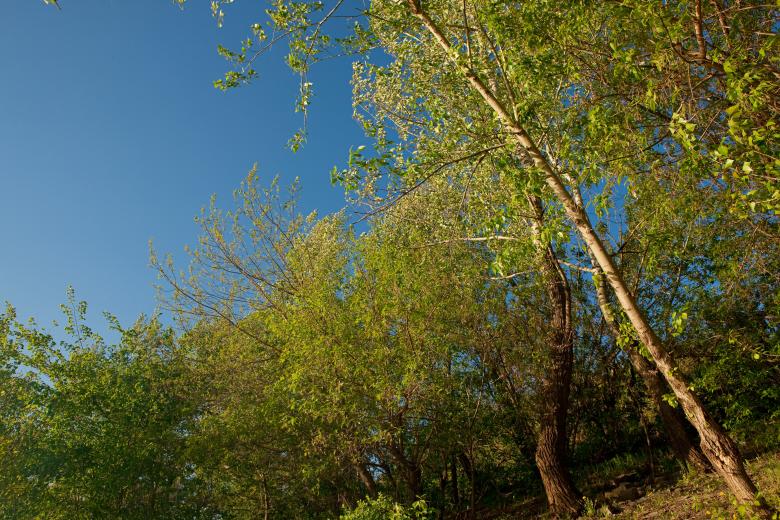 Free stock image of nature scene created by 2happy