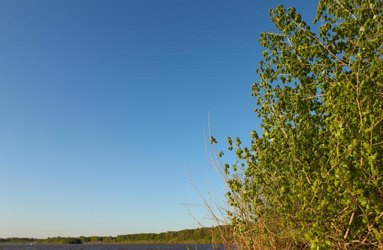 Free stock image of nature scene created by 2happy