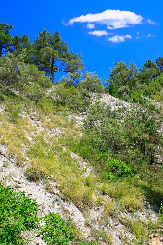 Free stock image of nature scene created by 2happy