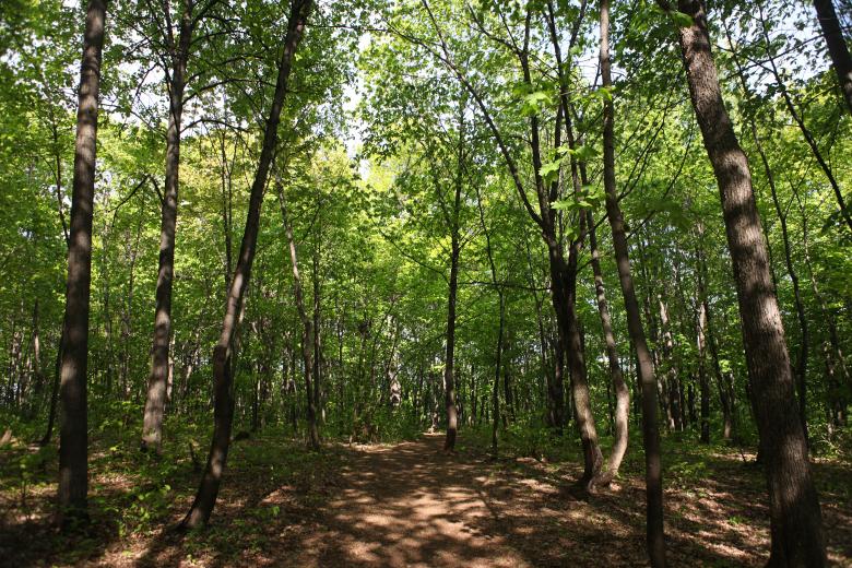 Free stock image of nature scene created by 2happy