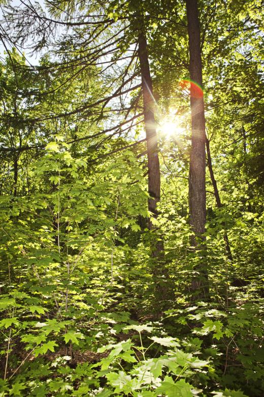Free stock image of nature scene created by 2happy
