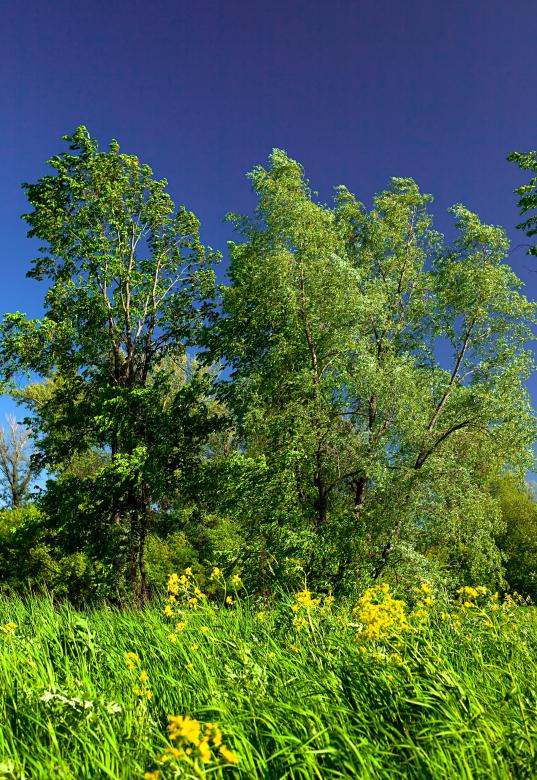 Free stock image of nature scene created by 2happy
