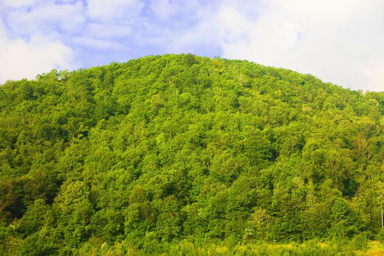Free stock image of nature scene created by 2happy