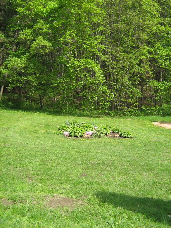 Free stock image of nature scene created by 2happy