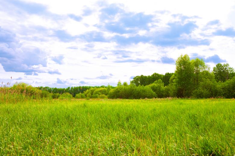 Free stock image of nature scene created by 2happy