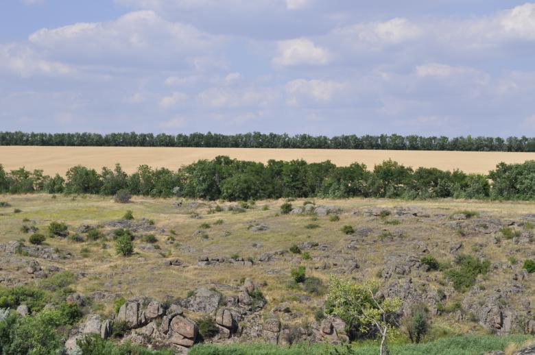 Free stock image of Steppe created by Berdnik Oleksander