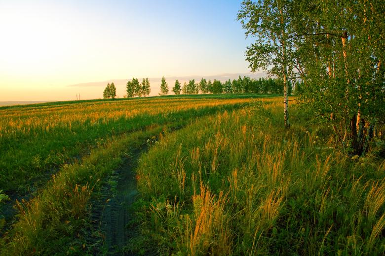 Free stock image of summer scene created by 2happy