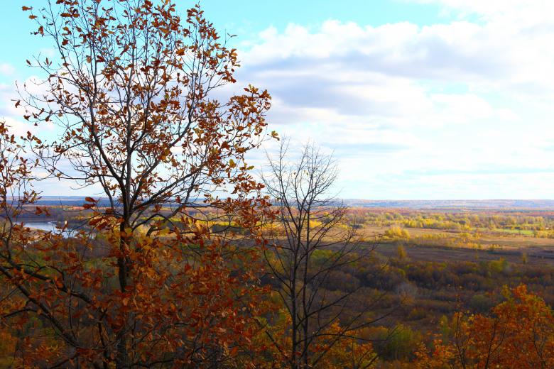 Free stock image of autumn scene created by 2happy
