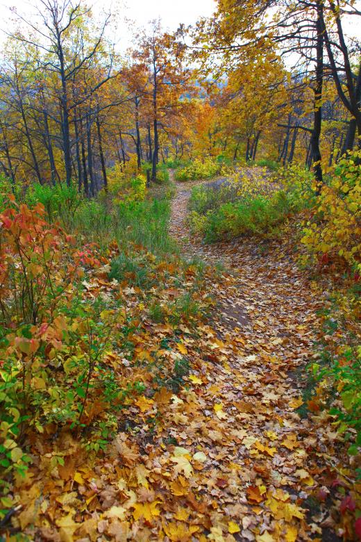 Free stock image of autumn scene created by 2happy