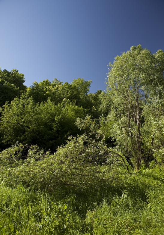 Free stock image of summer scene created by 2happy