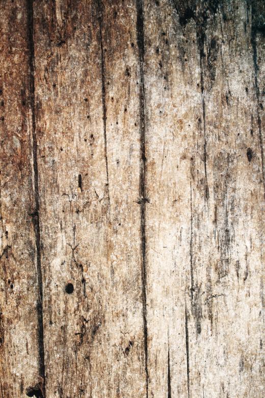 Free stock image of Grungy Wood Texture created by Free Texture Friday