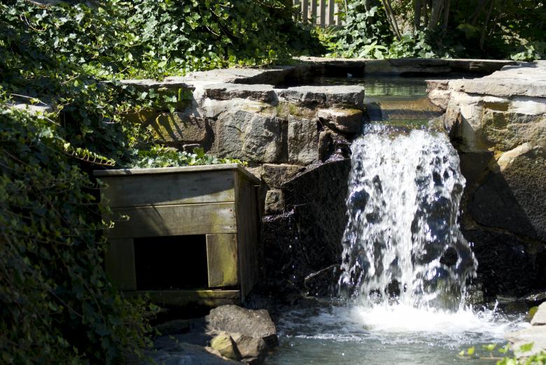 Free stock image of Duck Garden created by Brian Norcross