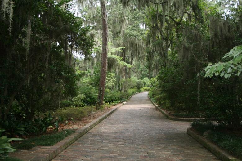 Free stock image of Path created by GusRomanPhotography
