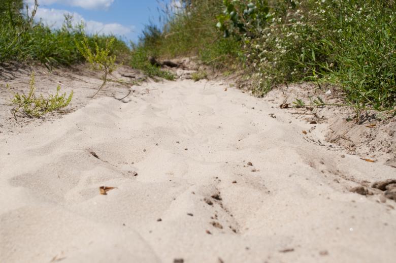 Free stock image of Sand created by Berdnik Oleksander
