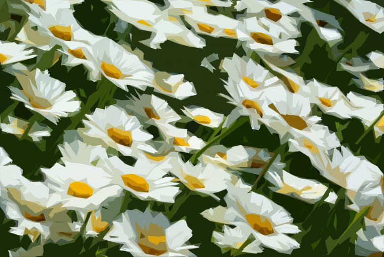 Free stock image of Illustrated Daisies created by Brian Norcross