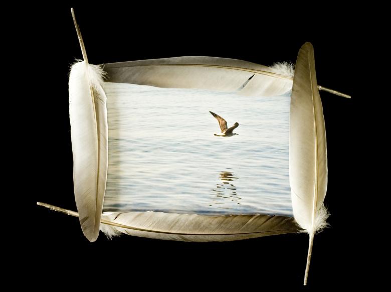 Free stock image of Bird in created by 2happy