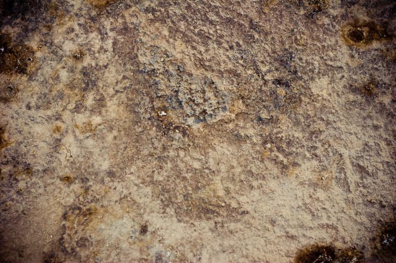 Free stock image of Mud Texture created by Bjorgvin