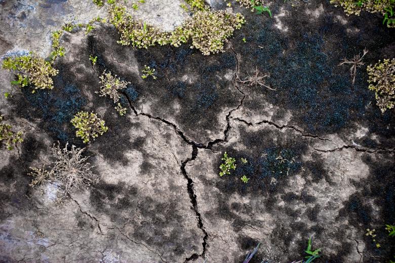 Free stock image of Cracked Soil Surface created by Bjorgvin