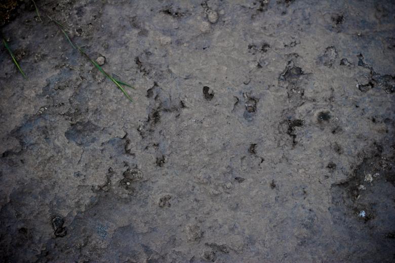 Free stock image of Soil Surface Texture created by Bjorgvin