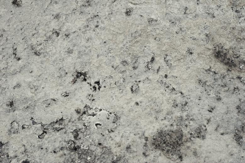 Free stock image of Dry Clay Texture created by Bjorgvin