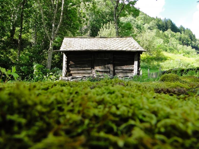 Free stock image of House in the Woods created by Ryan Wiggill