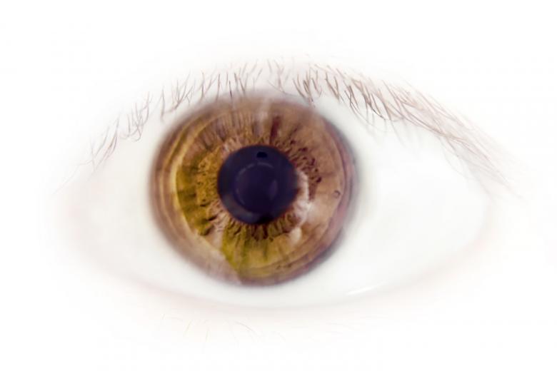 Free stock image of Eye  created by 2happy