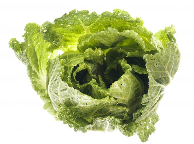 Free stock image of Green lettuce isolated created by 2happy