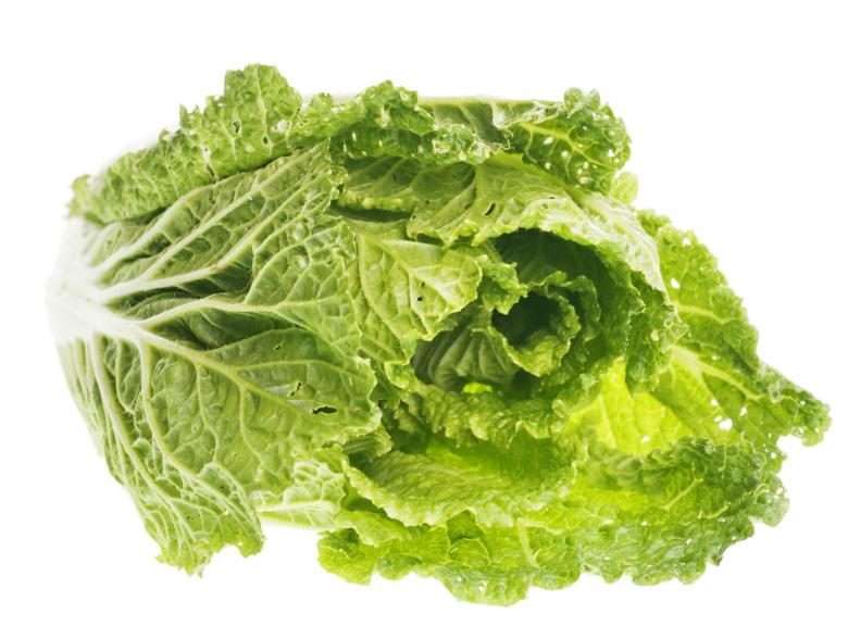 Free stock image of Greens isolated created by 2happy