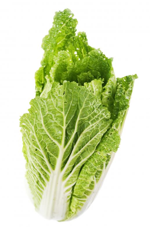 Free stock image of Greens isolated created by 2happy