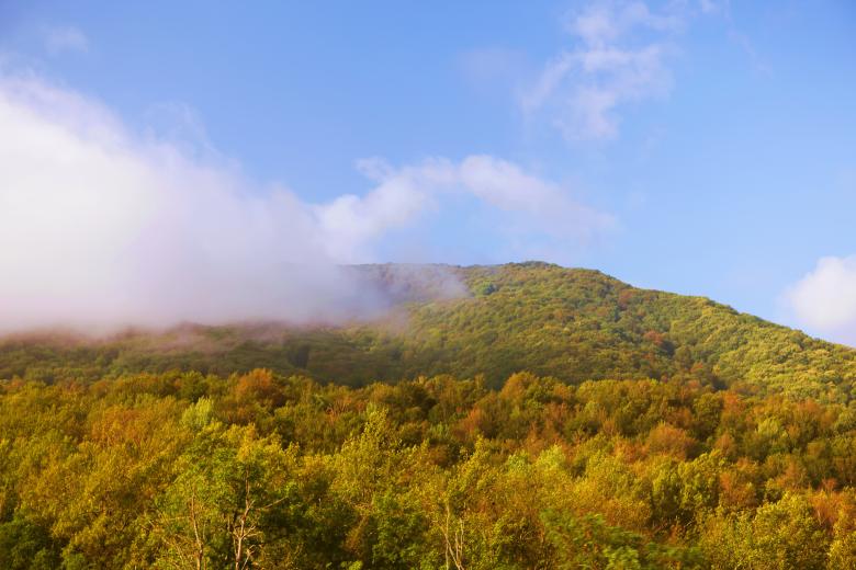 Free stock image of autumn scene created by 2happy