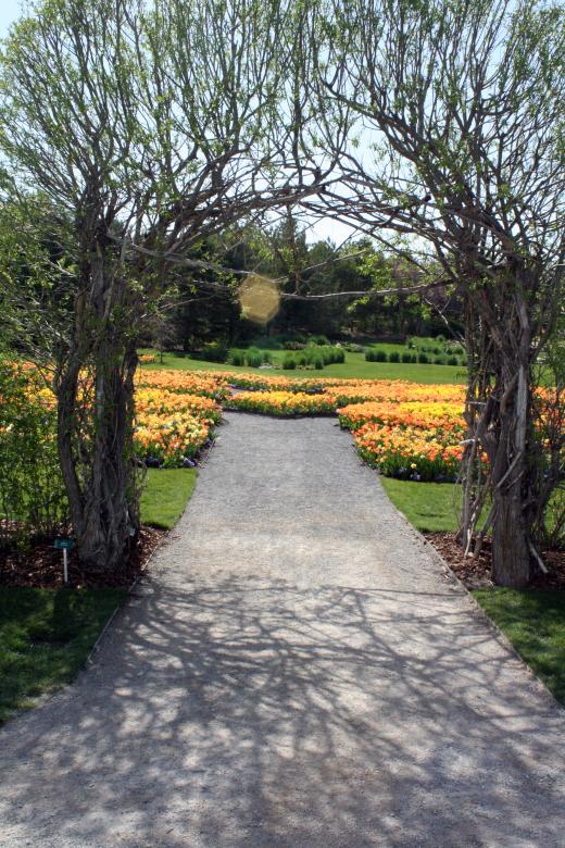 Free stock image of Garden Archway created by Chris Adzima