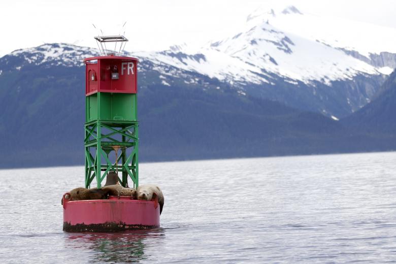 Free stock image of Sea Lions on Buoy created by Chris Adzima