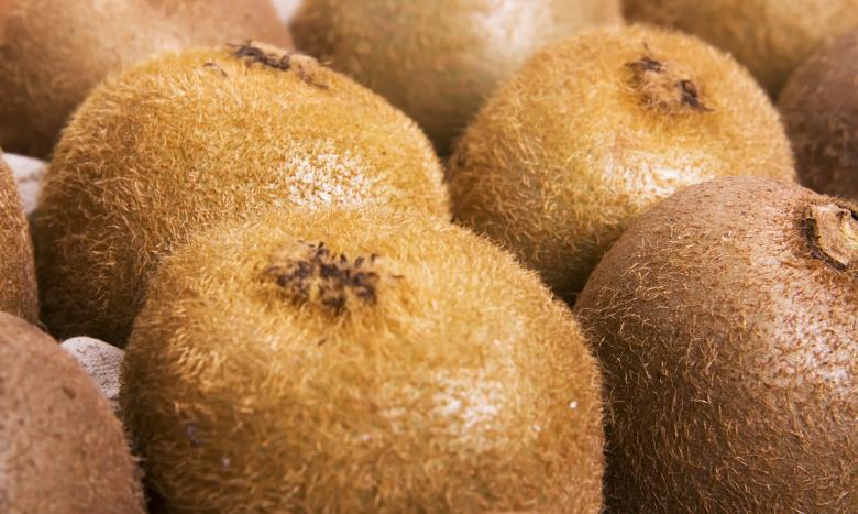 Free stock image of Kiwi created by 2happy