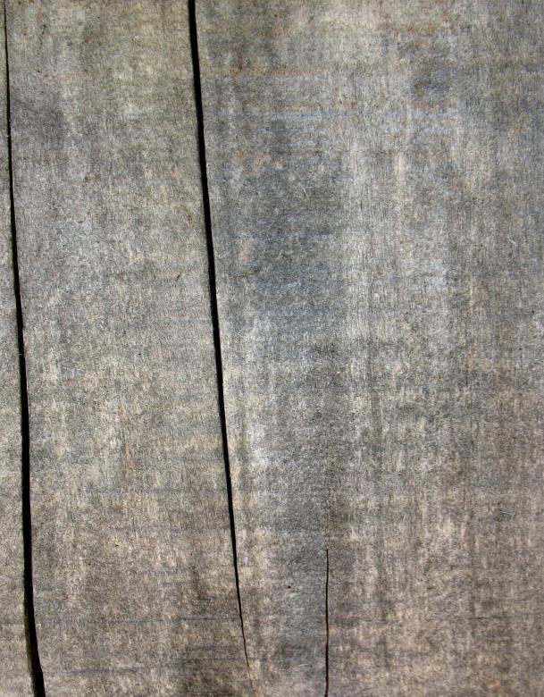 Free stock image of Wood Texture created by Free Texture Friday