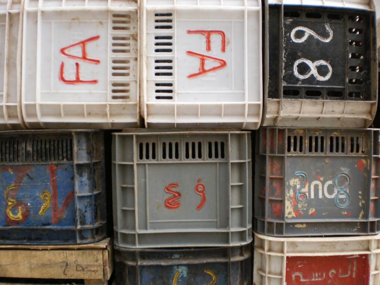 Free stock image of Plastic fish boxes created by SIVI