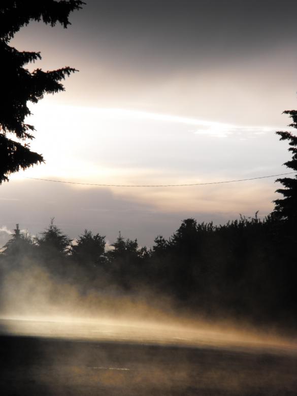 Free stock image of Foggy Woods created by Kyla M