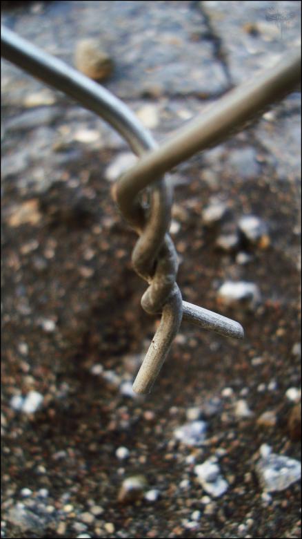 Free stock image of Barbwire created by RIC ALTEA