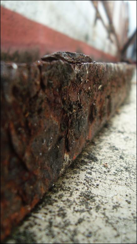 Free stock image of Rust Texture created by RIC ALTEA
