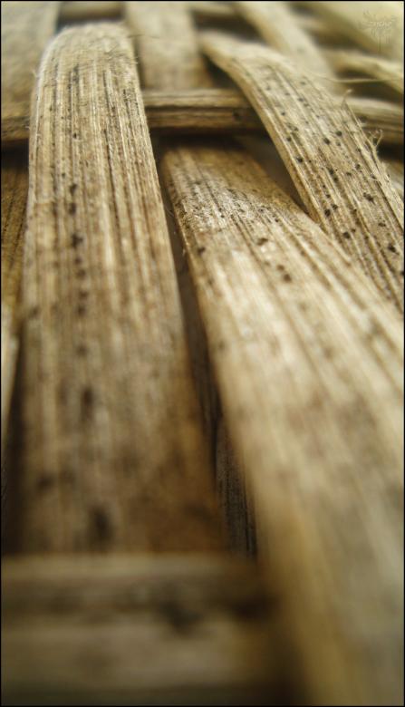 Free stock image of Wood Texture created by RIC ALTEA