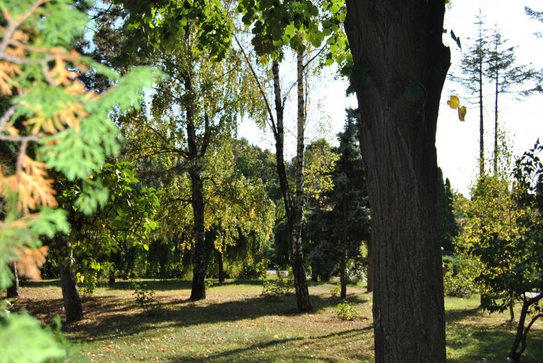 Free stock image of Green Garden created by volf laurentiu emanuel