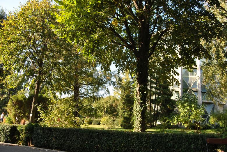 Free stock image of Green Garden created by volf laurentiu emanuel