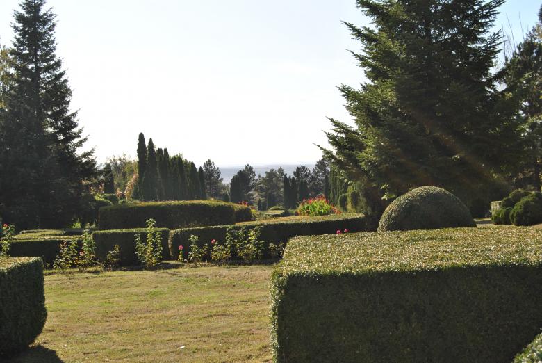Free stock image of Green Garden created by volf laurentiu emanuel