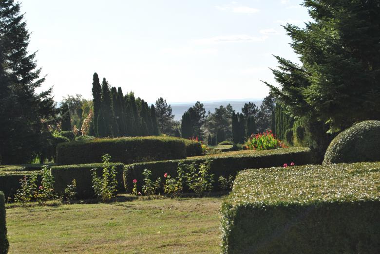Free stock image of Green Garden created by volf laurentiu emanuel