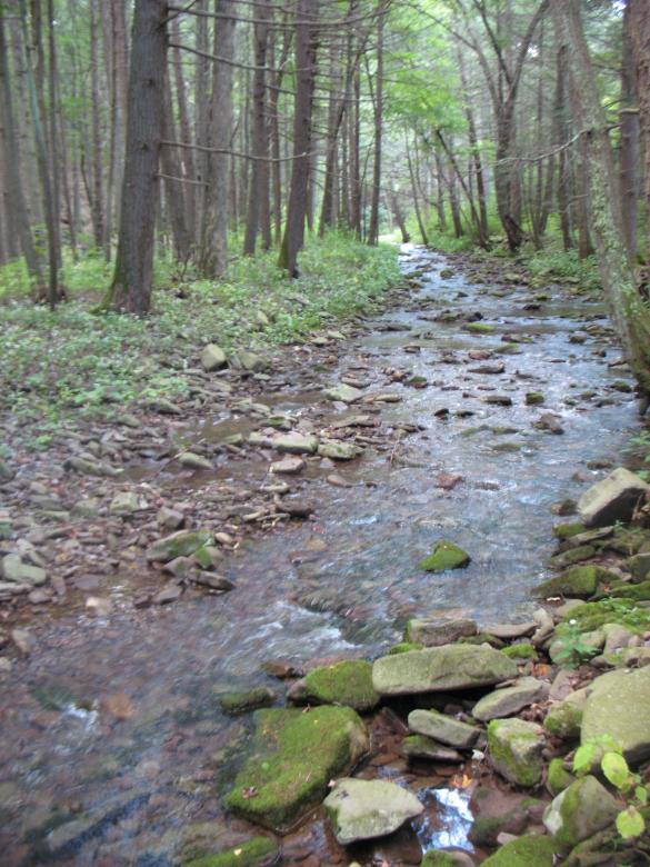 Free stock image of Mountain stream created by cheryl bowes