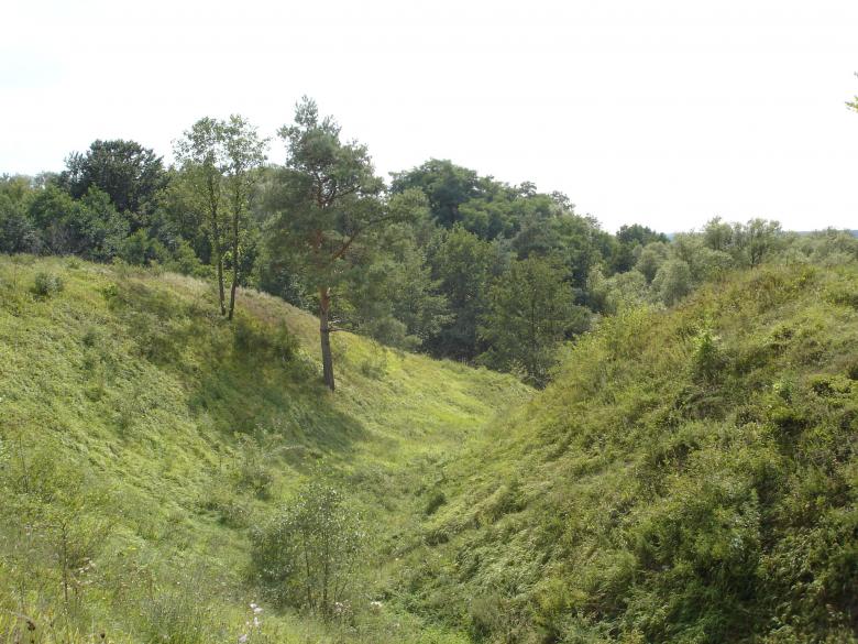 Free stock image of Green valley created by Katarzyna Kozłowska